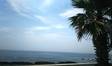 ☆ BBQ ☆