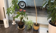 次亜塩素酸加湿器を増やしました!